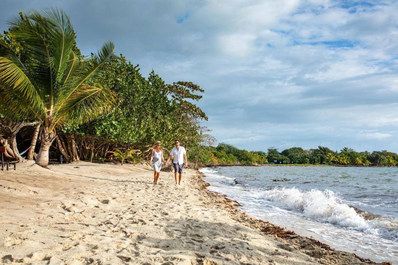 Mariposa Belize Beach Resort Placencia 外观 照片